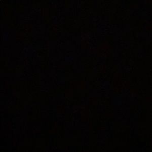 Meet your Posher, Mia